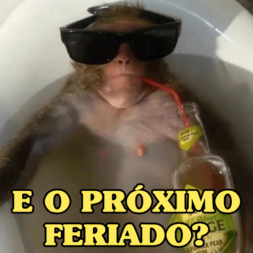 MEMES DO MACAQUINHO 🐒 15