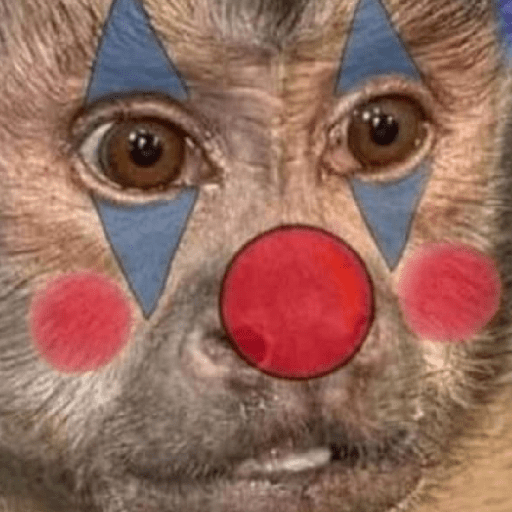 MEMES DO MACAQUINHO 🐒 10