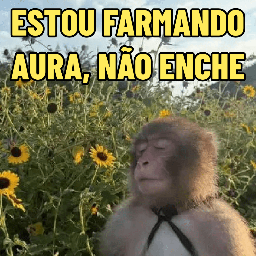 MEMES DO MACAQUINHO 🐒 11