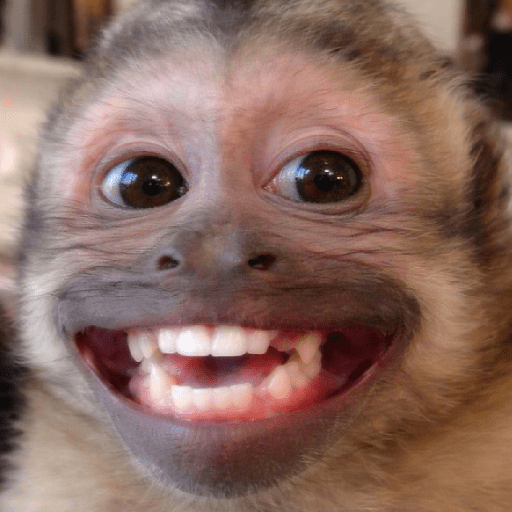 MEMES DO MACAQUINHO 🐒 2