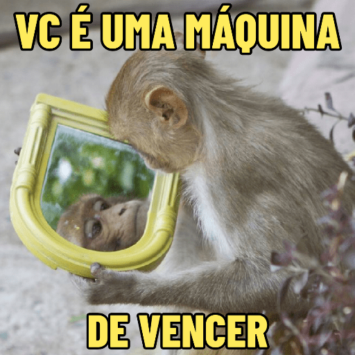 MEMES DO MACAQUINHO 🐒 9