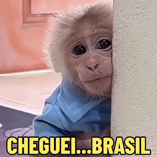MEMES DO MACAQUINHO 🐒 7