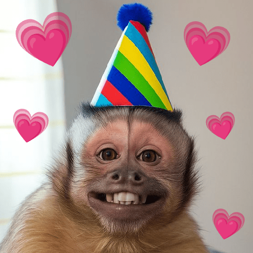 MEMES DO MACAQUINHO 🐒 6