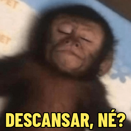 MEMES DO MACAQUINHO 🐒 5