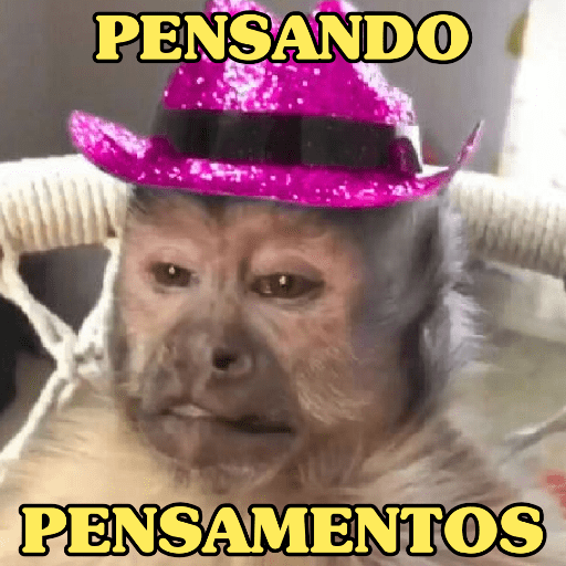 MEMES DO MACAQUINHO 🐒 3
