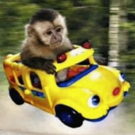 MEMES DO MACAQUINHO 🐒 14