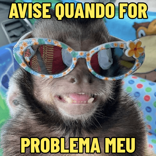 MEMES DO MACAQUINHO 🐒 17