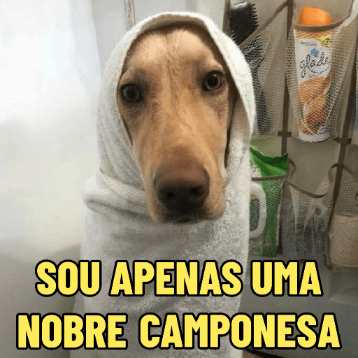 CACHORRO CARAMELO 🐶