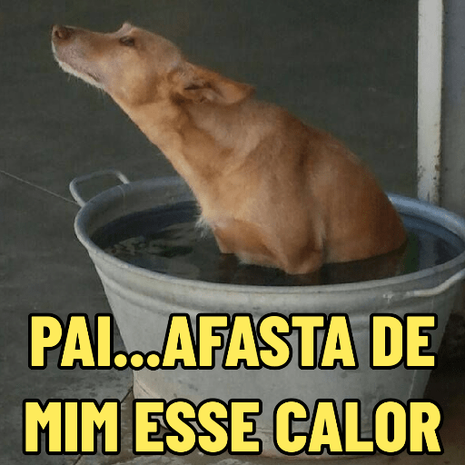 CACHORRO CARAMELO 🐶 2