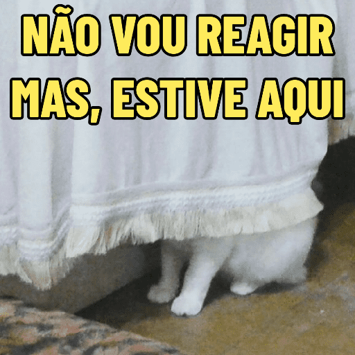 GATINHOS SINCEROS 🐱