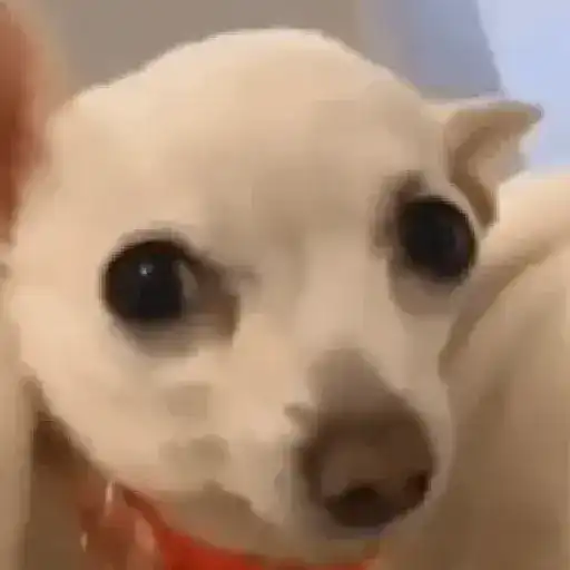 Կպչուն պիտակ