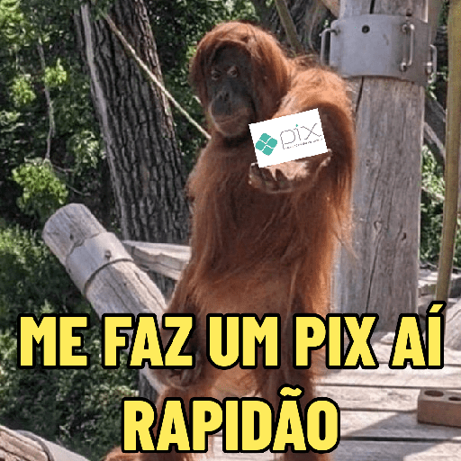 E O PIX, CADÊ? 🤑 14