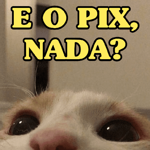 E O PIX, CADÊ? 🤑 3