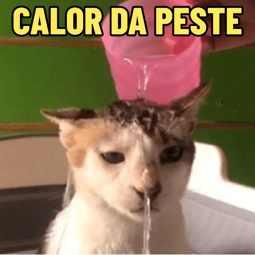 MEU DEUS, QUE CALOR 🥵🔥  1