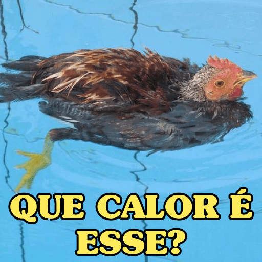 MEU DEUS, QUE CALOR 🥵🔥  7