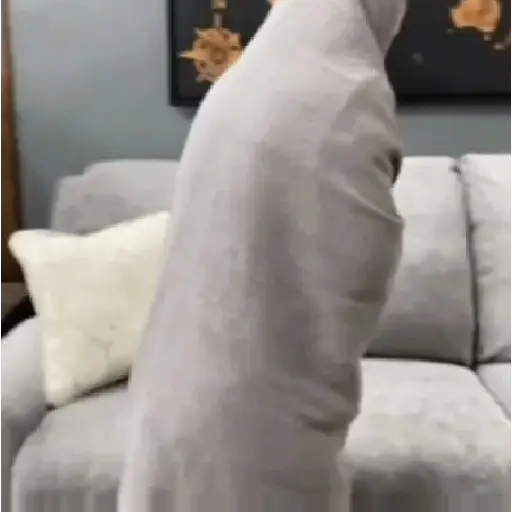 AI QUE FRIO 🥶 7