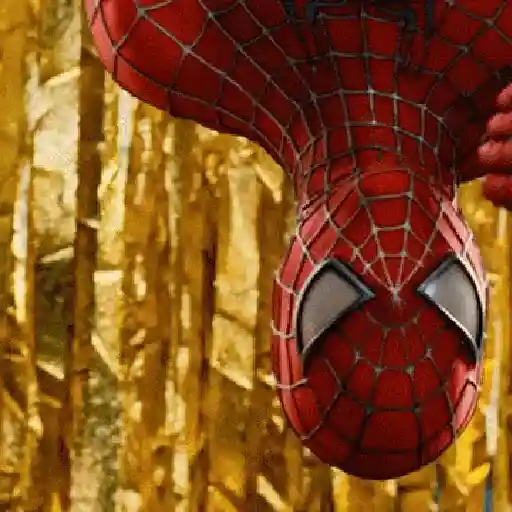 HOMEM-ARANHA 🕷️🕸️ 11