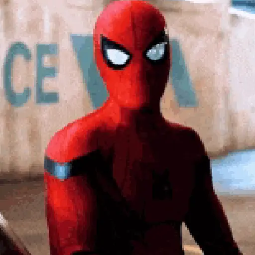 HOMEM-ARANHA 🕷️🕸️ 6
