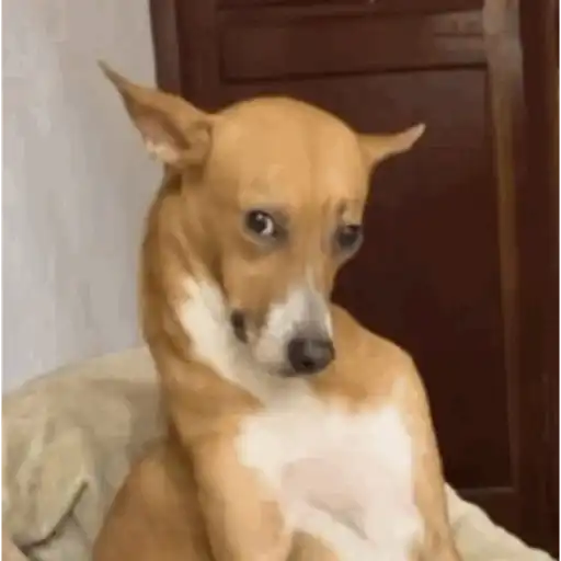 Aaa 14