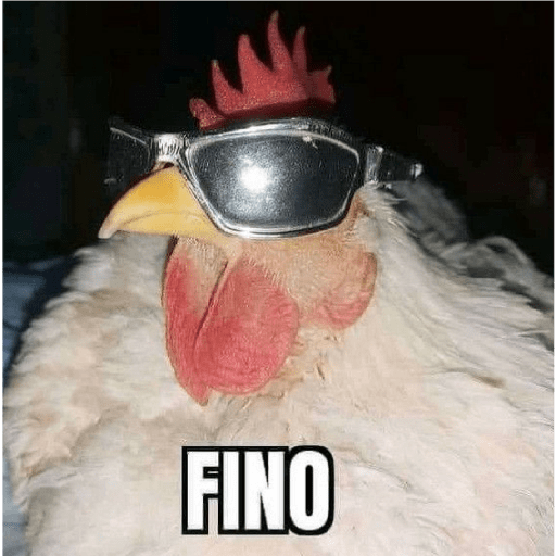 Volví perros 21