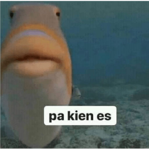 Volví perros 6
