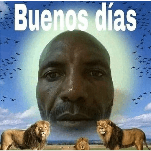Volví perros 4
