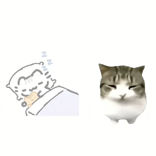 Dam Dam Di Di Di 14