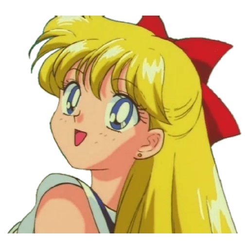 Sailor Moon - 1 25