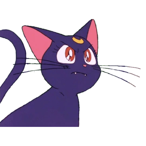 Sailor Moon - 1 17
