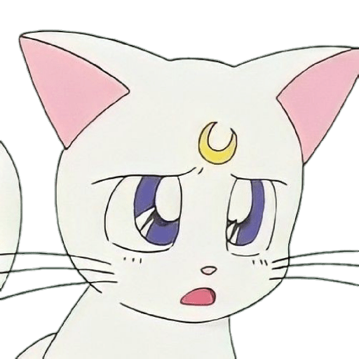 Sailor Moon - 1 29