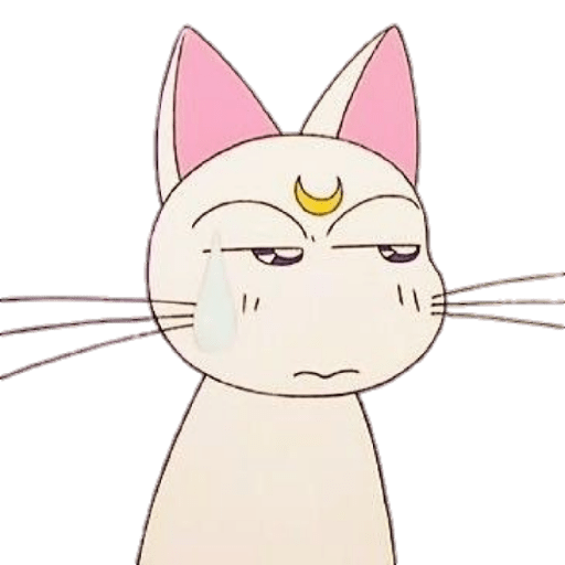 Sailor Moon - 1 30