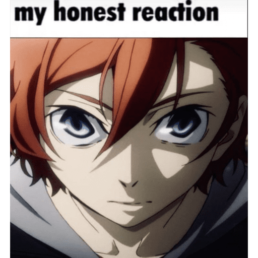 ︶꒥꒡ Bungo stray dogs!