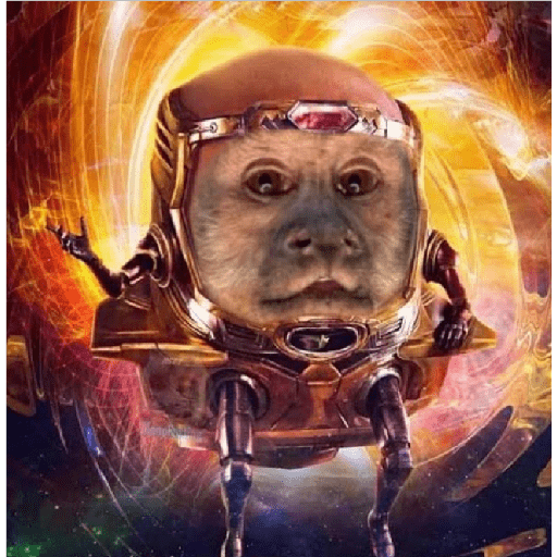 New 2024 5