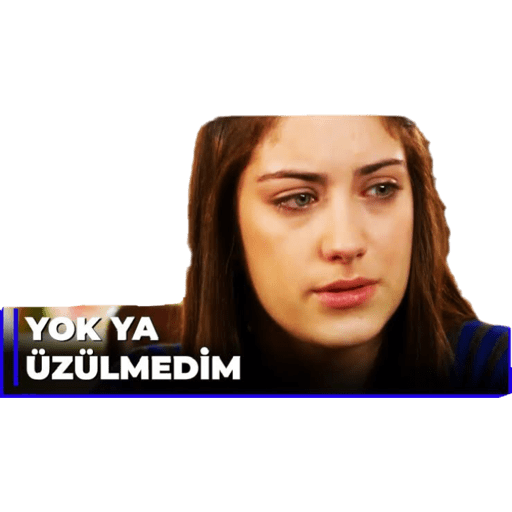 Aşk-ı Memnu 2 28