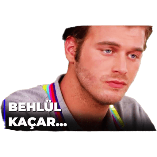 Aşk-ı Memnu 2 6