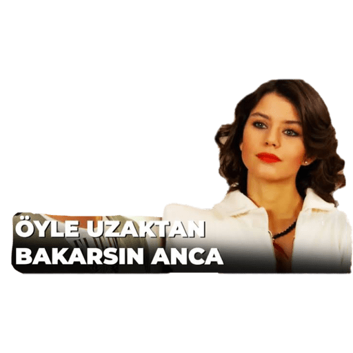 Aşk-ı Memnu 2 4