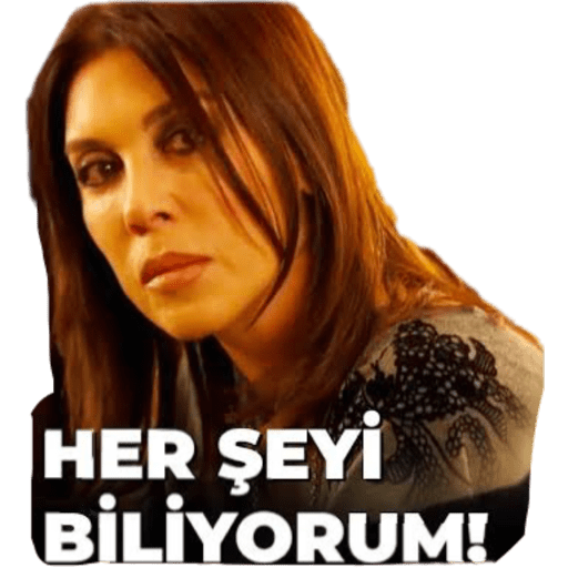 Aşk-ı Memnu 2 8