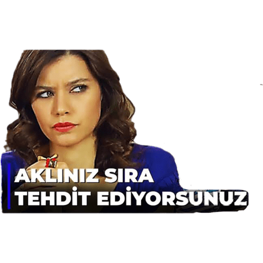 Aşk-ı Memnu 2