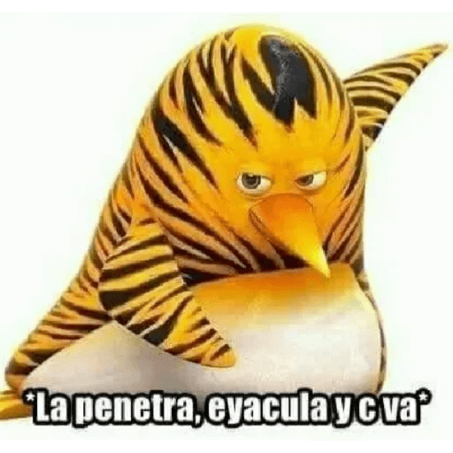MEMES???
