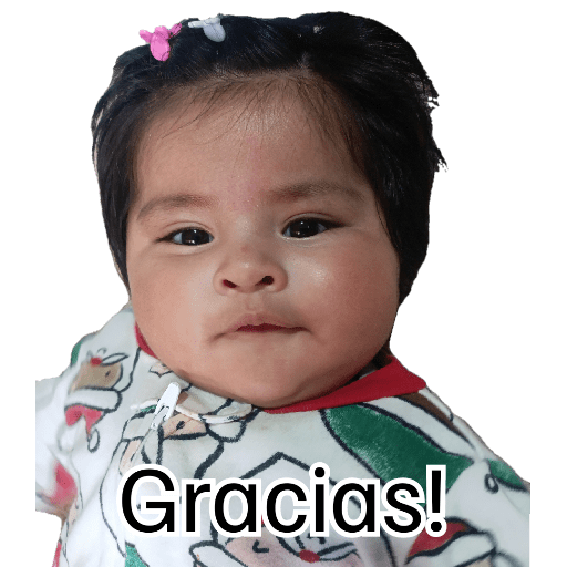 Ami noviembre  6