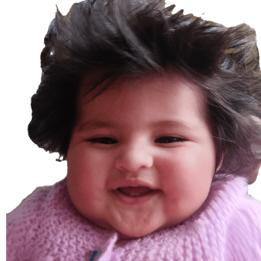 Ami noviembre  10