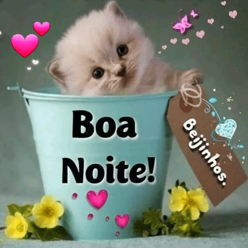 Para Dia, Tarde e Noite 🌙☀️🌷
