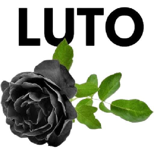 Luto e Saudade 🖤