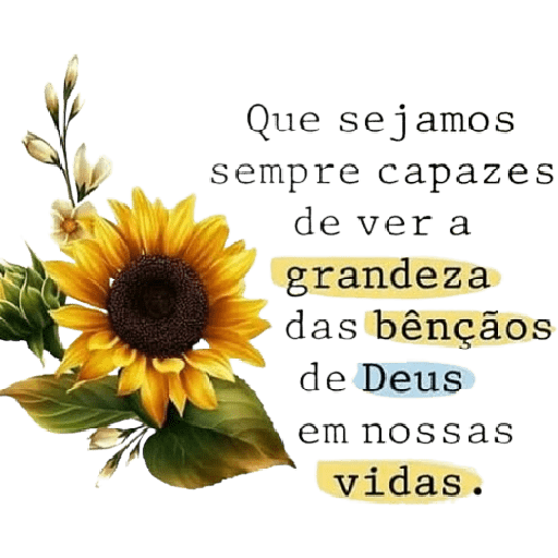 🌻 Girassol 🌻 
