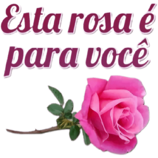 Mensagem de carinho 🫶🏽