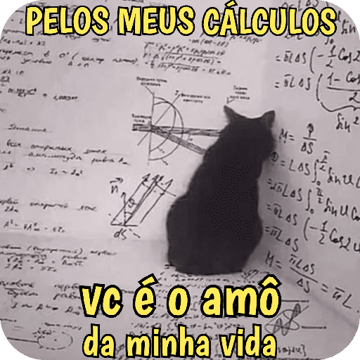 Gatos apaixonadinhos 💘💗