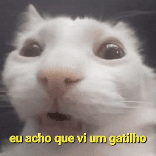Memes e Reflexões animais