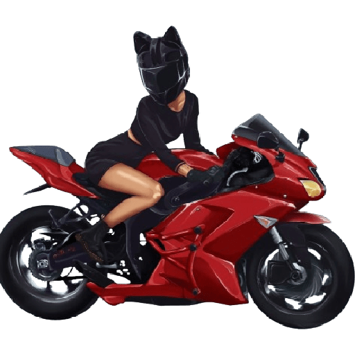 MOTO 🏍