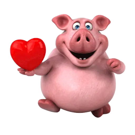 Funny Pig 🐽