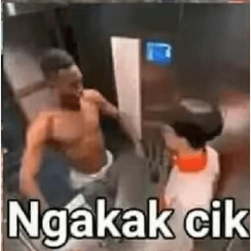 Gatau lagi 8